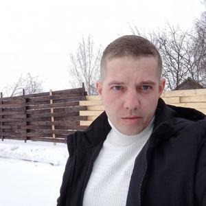 Алексей, 37 лет, Тула