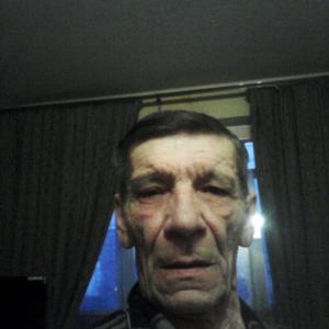 Владимир, 73 года, Владимир