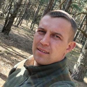 Андрей, 34 года, Волоконовка