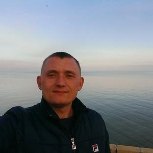 Вова Ушивцев, 41 год, Химки