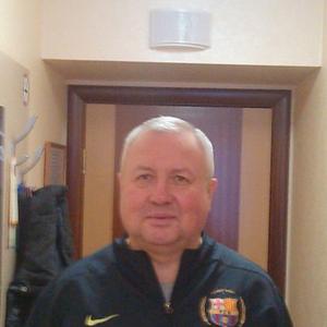 Андрей Ибрагимов, 63 года, Красноярск