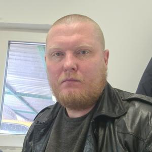 Алексей, 45 лет, Орехово-Зуево