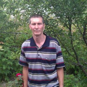 Анатолий, 64 года, Белгород