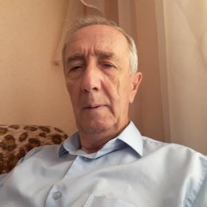 Владимир, 74 года, Майкоп