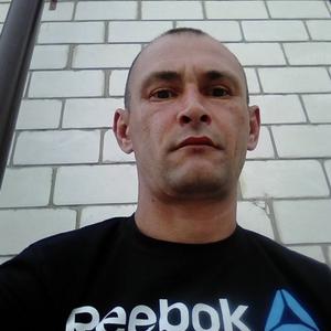 Костя, 42 года, Славгород