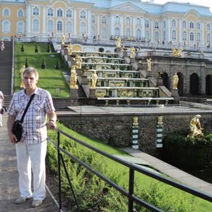 Андрей, 65 лет, Санкт-Петербург