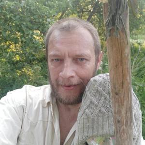 Иван, 45 лет, Окуловка