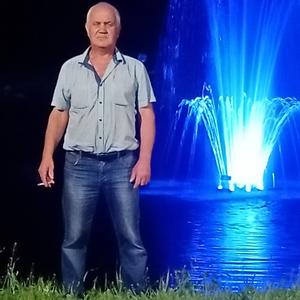 Сергей, 62 года, Мичуринск