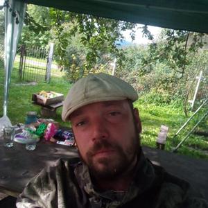 Дмитрий Кротов, 38 лет, Назия