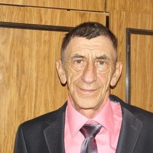 Сергей Макаров, 68 лет, Оренбург