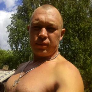 Александр, 42 года, Кологрив