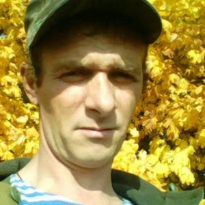 Юрий, 43 года, Петрозаводск