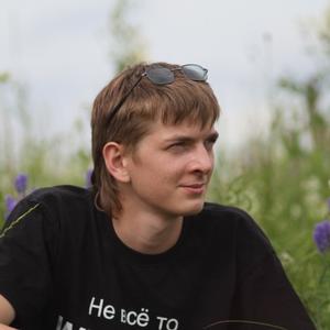 Иван, 36 лет, Барнаул