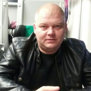 Дмитрий, 40 лет, Гомель