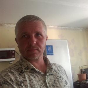 Михаил Смирнов, 45 лет, Тольятти