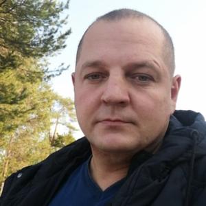 Андрей, 41 год, Алтайский