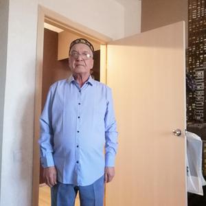 Денислам, 66 лет, Челябинск