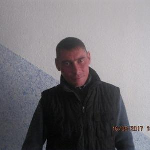 Александр, 44 года, Красноармейск