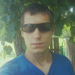 Алексей Станилевич, 33 года, Гомель