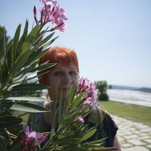 Анна, 73 года, Москва