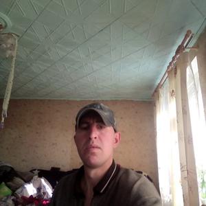 Костик, 38 лет, Моряковский Затон