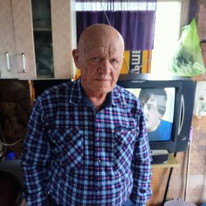 Сергей, 65 лет, Южно-Сахалинск