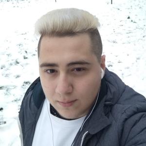 Влад Степченко, 26 лет, Нарва
