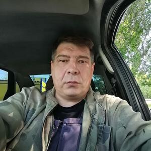 Pavel, 49 лет, Димитровград