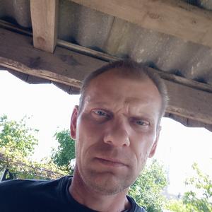 Алексей, 43 года, Брест