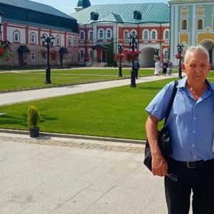 Парни в Саранске: Василий, 65 - ищет девушку из Саранска