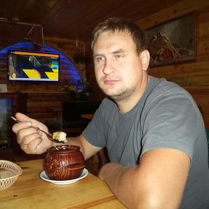 Андрей, 41 год, Рыбинск