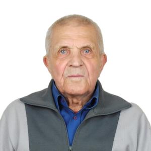 Виктор, 79 лет, Волхов