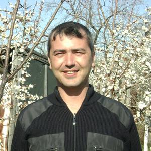 Владимир Макаров, 46 лет, Саратов