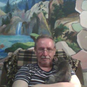 Владимир Петров, 66 лет, Подольск