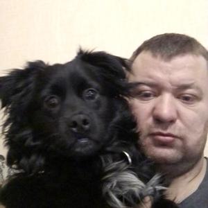 Парни в Петрозаводске: Павел, 35 - ищет девушку из Петрозаводска