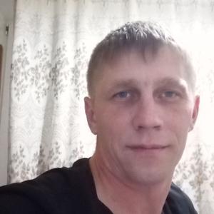 Николай, 37 лет, Гатчина
