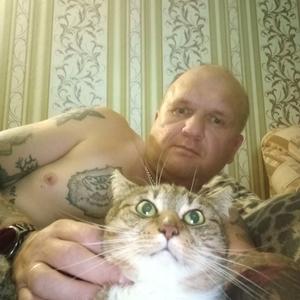 Парни в Людиново: Сергей, 46 - ищет девушку из Людиново