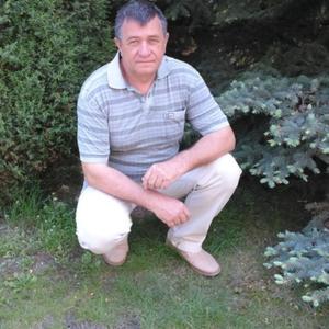 Николай, 66 лет, Чистополь