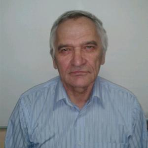 Анатолий, 71 год, Санкт-Петербург