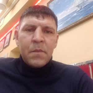 Спартак, 39 лет, Ульяновск