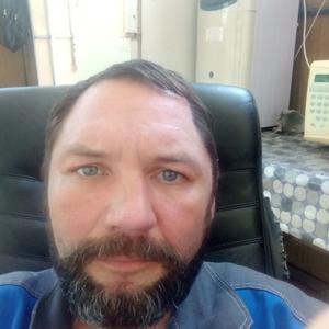 Андрей, 43 года, Солнечнодольск