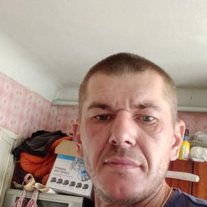 Виталий, 41 год, Тула