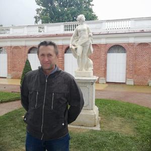 Виктор Кудинов, 52 года, Богородск