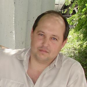 Aleksandr Suleymanov, 55 лет, Воронеж