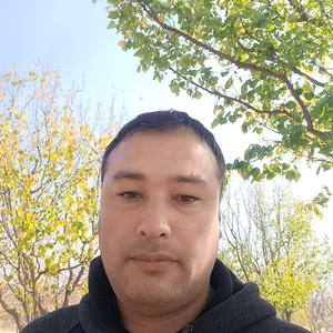 Амир, 37 лет, Душанбе