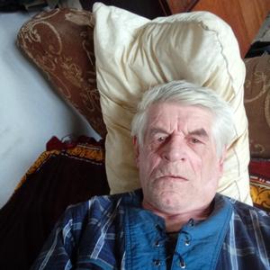 Виктор, 67 лет, Курск