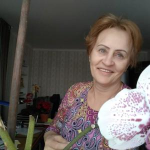 Нина Степанова, 64 года, Тула
