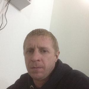 Владимир, 46 лет, Талдом