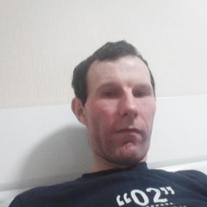 Василий, 39 лет, Тотьма