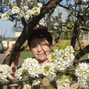 Шмидт Людмила, 72 года, Гальбштадт